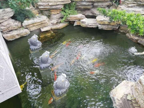 別墅花園設(shè)計(jì)里添加個(gè)魚池設(shè)計(jì)怎么樣？