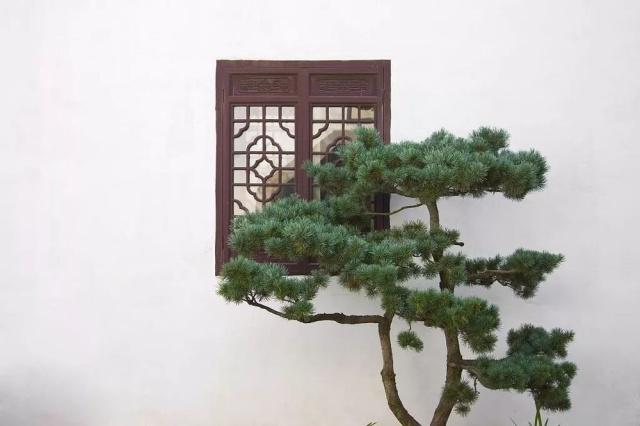 驚艷世界的中式庭院，美哭了！